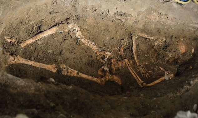 由于该墓内有其他骸骨,故未知该骸骨是不是盖拉尔迪尼。图为修道院内其中一幅骸骨。