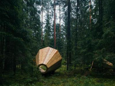 西班牙研究人员认为气候变暖是猛玛象灭绝的罪