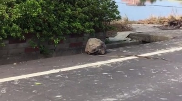 �����Խ��ˮ���������� ��ͨһ���͵���ȥ