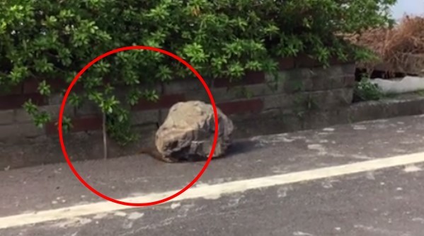 �����Խ��ˮ���������� ��ͨһ���͵���ȥ