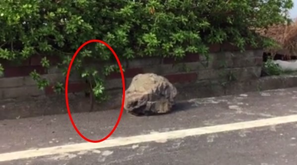 �����Խ��ˮ���������� ��ͨһ���͵���ȥ