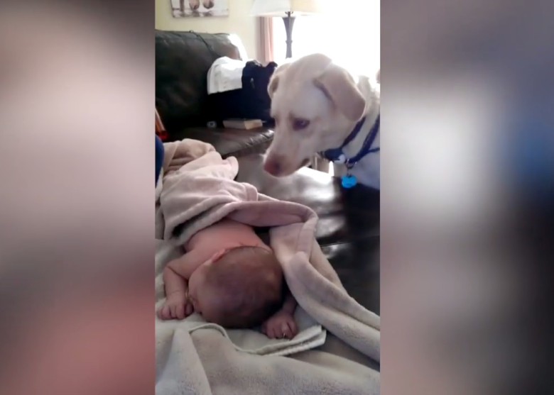 ���ӳɹ���������