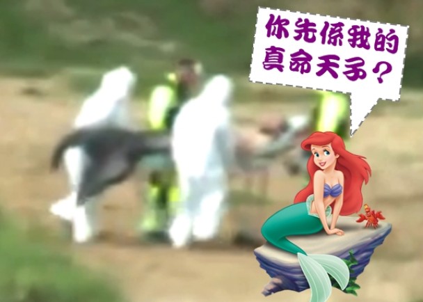 �������㵽����һ�������ˣ��ɺ���̧��һ����β���������塣