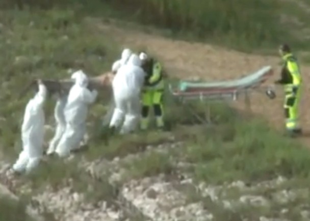 ������ɫ�����·����ˣ�����һ����������С�����塣