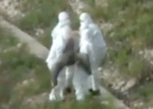 �������㡱������βʮ�����ۡ�