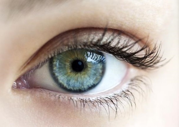 ���⼼���ɹ�����������ֻư߲�����˻ָ�������