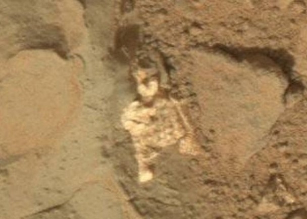 该白色物体形状跟人的头颅、手臂等骨骼十分相似。