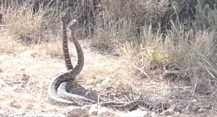 �����ÿ���˹��������β��Ϊ����֧���λ���˴˲�������