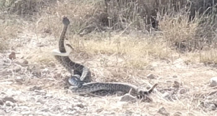 �����ÿ���˹��������β��Ϊ����֧���λ���˴˲�������