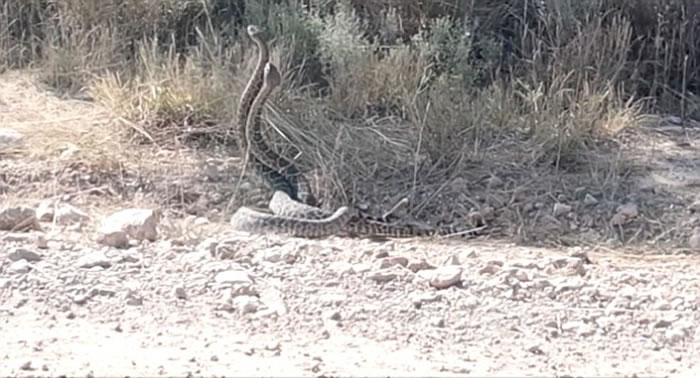 �����ÿ���˹��������β��Ϊ����֧���λ���˴˲�������