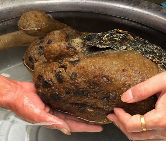 四川成都男子到沱江钓鱼竟然钓起民间传说中的太岁?