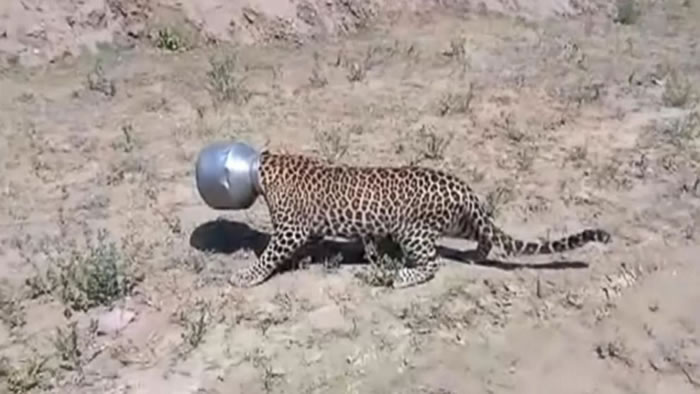 ӡ�Ȼ������ˮ˭֪ͷ��������3Сʱ