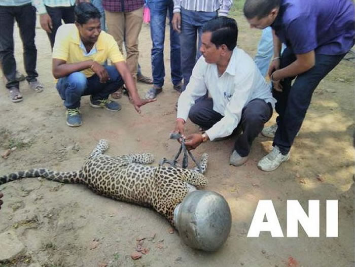 ӡ�Ȼ������ˮ˭֪ͷ��������3Сʱ