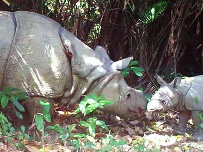 英国心理学家华莱士Ian Wallace解析七大最常见