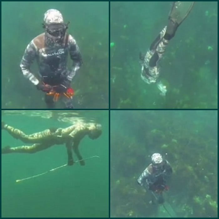 出事前凯利特与友人正在潜水捉鱼