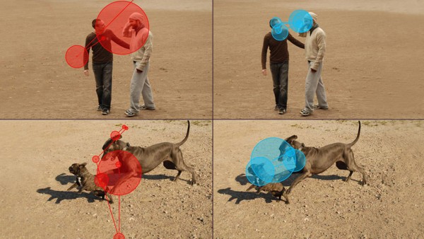 ������������ӵ��ʤ����ͬ�ࡰӵ����