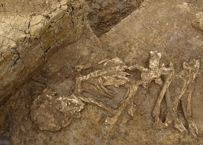 研究指古人遗骸曾作加工,以期长久保存。