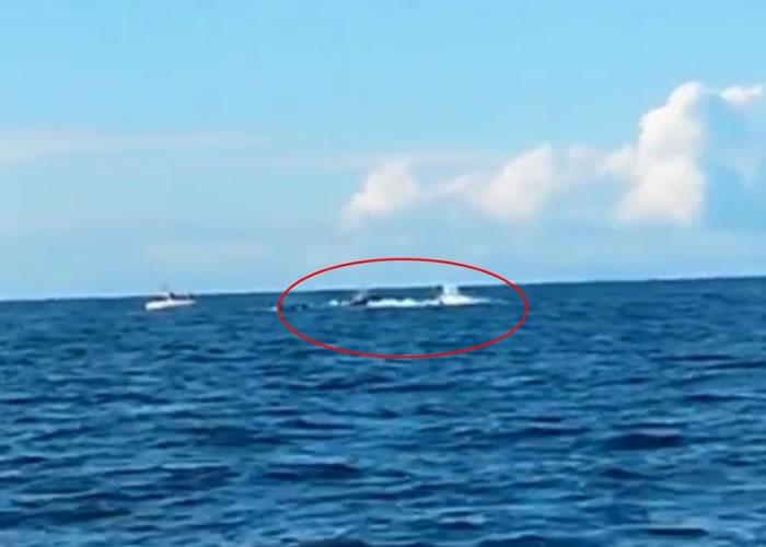 3条杀人鲸在海中捕猎海豚,溅起连串浪花(红圈)。