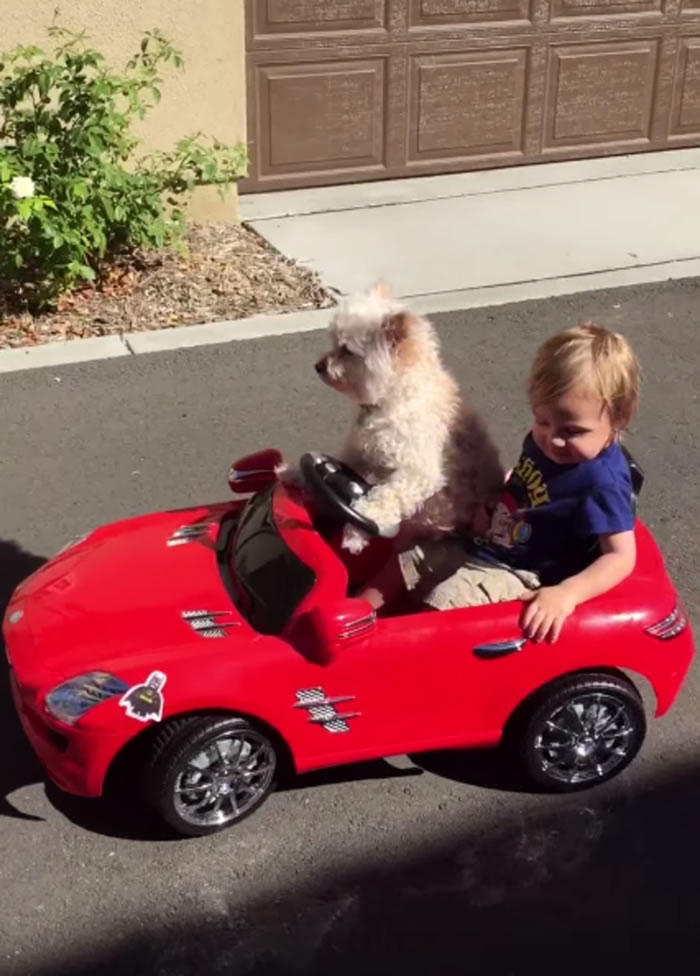 ����һֻС������߳���С���˶������Ƶ�ߺ�����