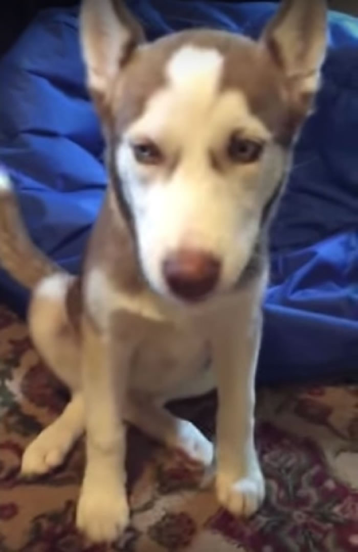 �������ӿɰ�