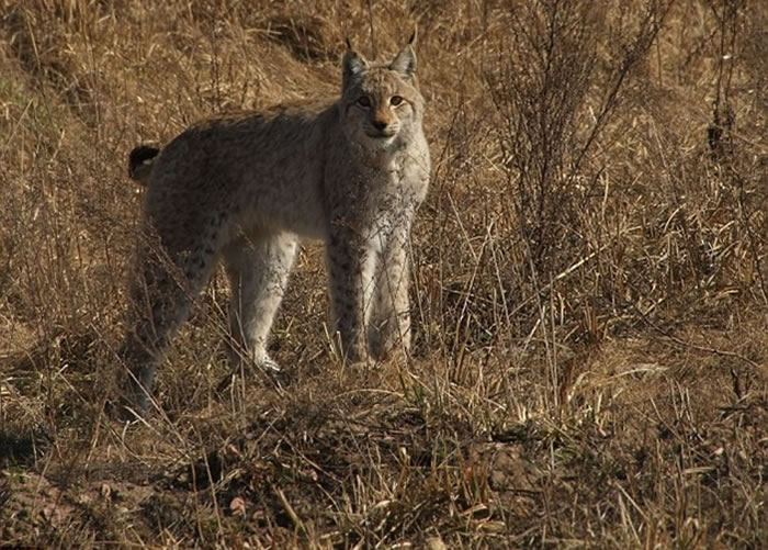 ɽè�ں��ֺ������ж�ŵ����