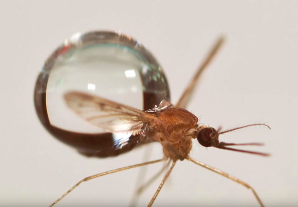 ����Ϊ���ڴ��������������� ԭ��������������е�̫������