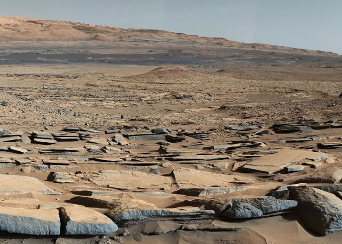 ��ѧ�ҷ����˵���Ϊ����