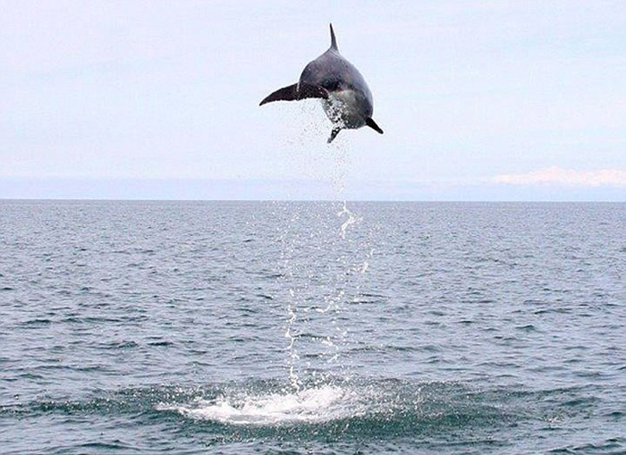 ӢʿϸǺԾˮ澹4.6׸߶