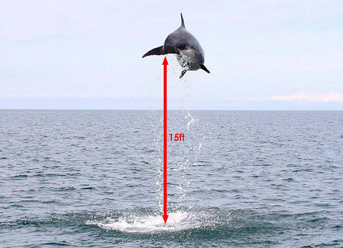 ӢʿϸǺԾˮ澹4.6׸߶