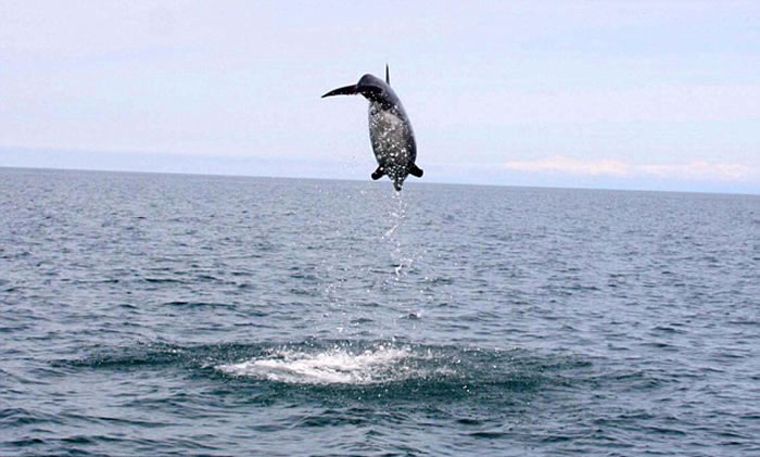 ӢʿϸǺԾˮ澹4.6׸߶