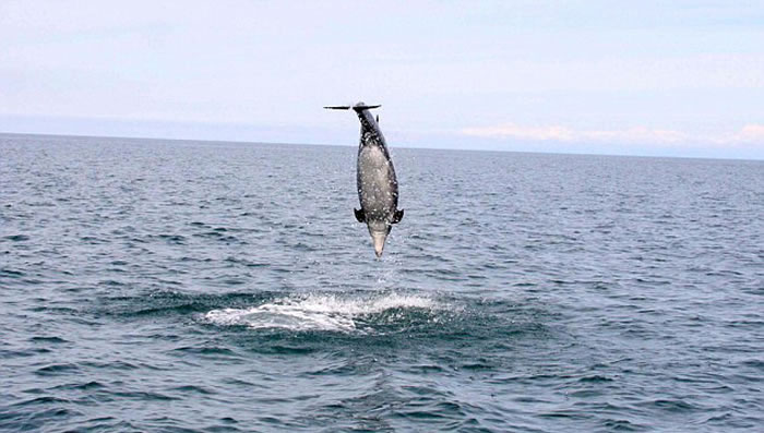 ӢʿϸǺԾˮ澹4.6׸߶