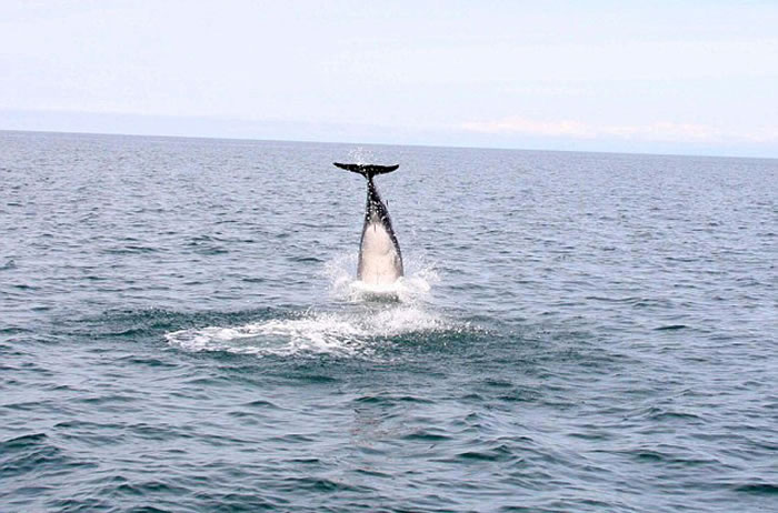 ӢʿϸǺԾˮ澹4.6׸߶