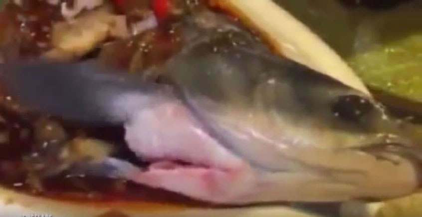 广州市越秀区餐馆“僵尸鱼zombie fish”吓坏人