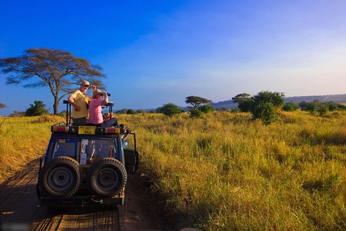 ��̬�����ǽ�����ܻ�ӭ������ѡ��