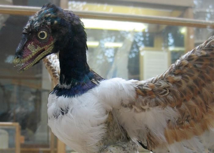 רָʼڷзͼΪʼģ͡