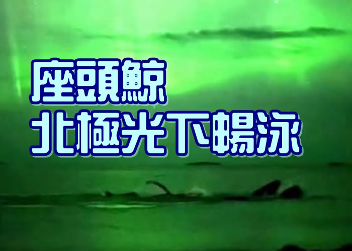 Ų����Ӱʦ�ڡ����㵺��������ͷ���������³�ӾһĻ