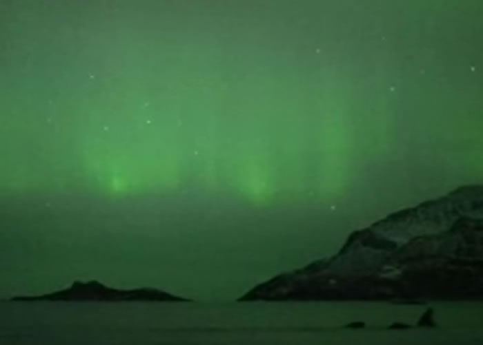 ���صı��������������