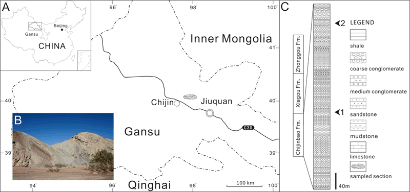 ��Ȫ���¶ͷλ�ü��ز���״ͼ