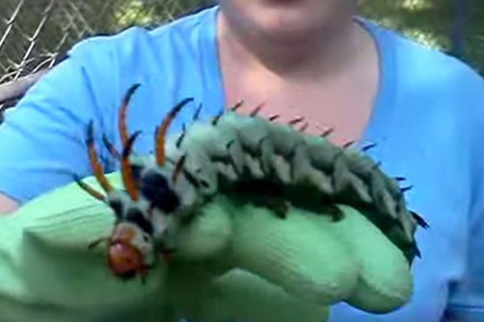 ���������������������ԼҺ�Ժ���־޴�ëë�� ר�ҳ��ǵ�������׳桰ɽ���ҽ�ħ����