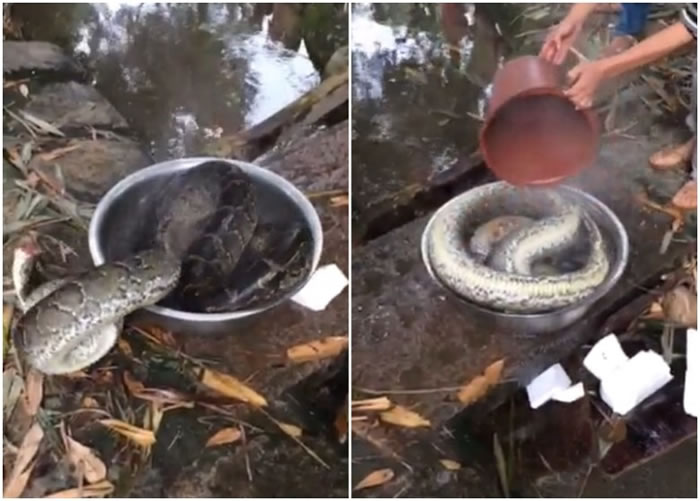 ��������˿�ͷ�����������ˮ���̣��д����������Ͻ���ˮ��