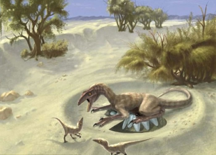 兽脚亚目肉食恐龙品种以两脚行走