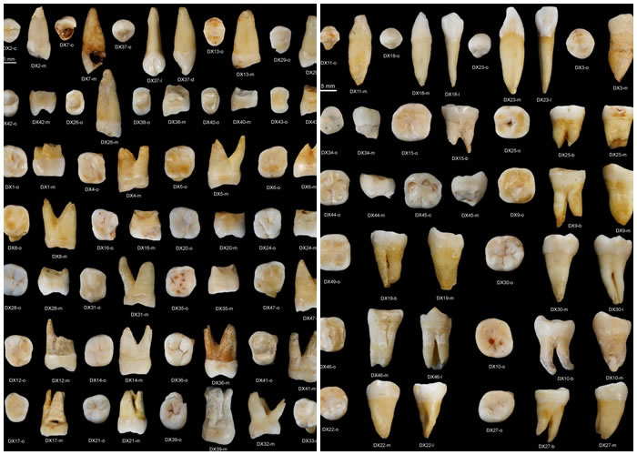 �ڵ��ظ��Ҷ�������һ�����ݻ�ʯ����ͼ��������ݣ���ͼ��������ݡ�