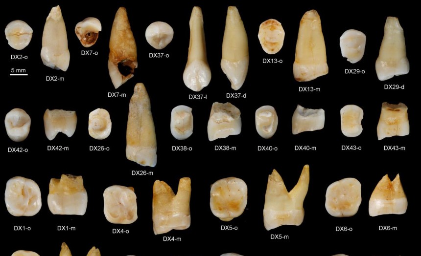 �������������ں��ϣ����ط��ֶ��������ִ��˻�ʯ