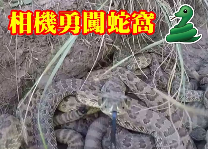 ����Ӹߴ��������ѣ�����β�������ͷ��