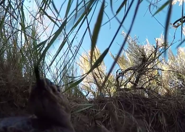 ������ܲ�ס���������������ڡ�