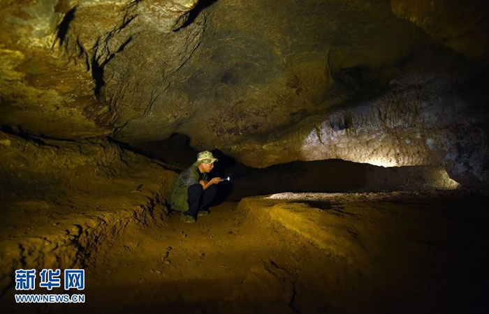 10��16�գ����ϵ�����������ָ��ֳ��������ڸ��Ҷ����������ݻ�ʯ�����ֳ����ܵ�ʱ�ķ������Ρ���ȫ�̲����˸��Ҷ��������ݻ�ʯ�ķ�������