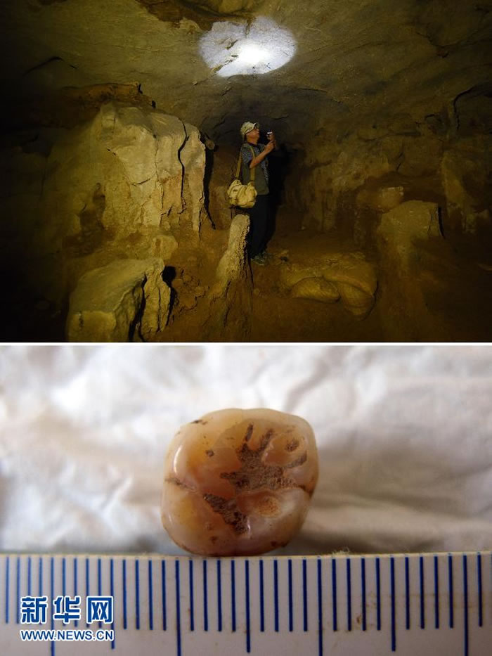 ��ͼ��10��16�գ����ϵ�����������ָ��ֳ��������ڸ��Ҷ��ڽ��ܵ�ʱ�ķ������Σ���ȫ�̲����˸��Ҷ��������ݻ�ʯ�ķ���������ͼ���ں��ϵ��ؾ��ڸ��Ҷ����ֵ�һ����