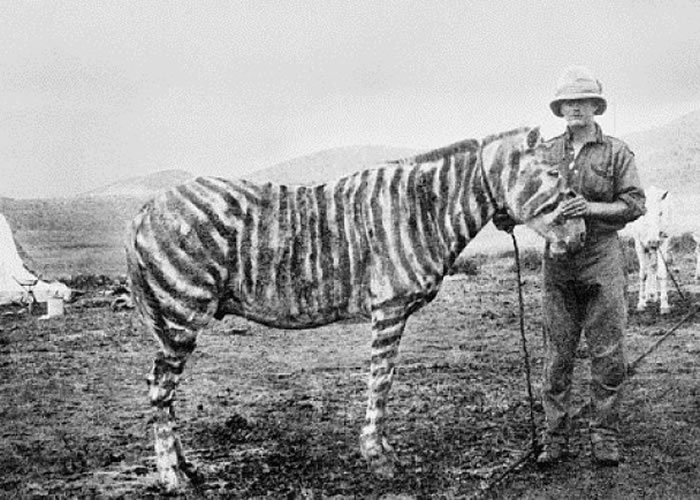 ��ս����Ϳ�ϼ��ư����