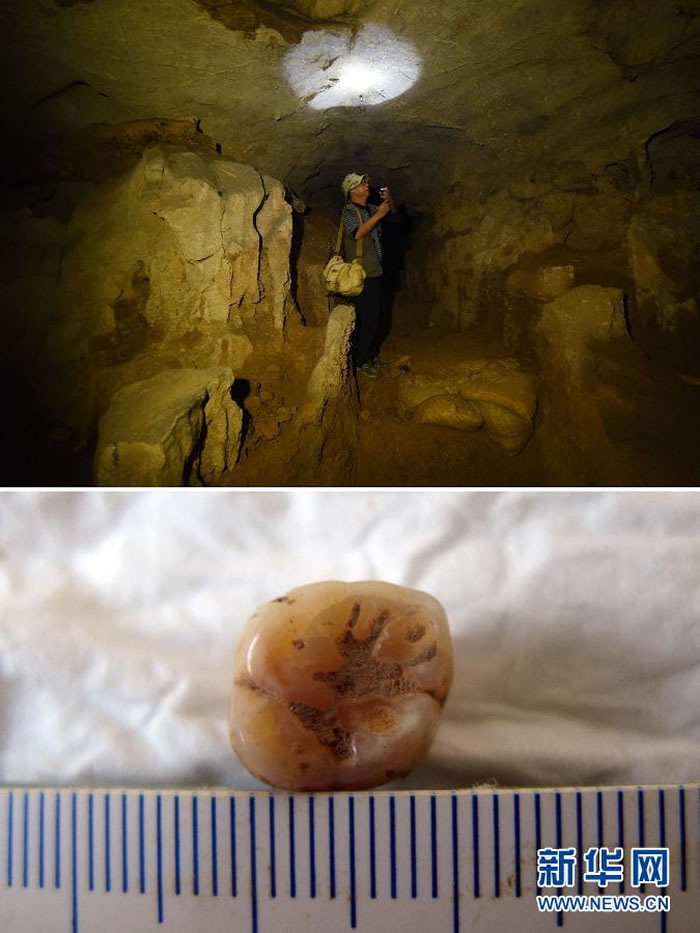 ��ͼ��10��16�գ����ϵ�����������ָ��ֳ��������ڸ��Ҷ��ڽ��ܵ�ʱ�ķ������Σ���ȫ�̲����˸��Ҷ��������ݻ�ʯ�ķ���������ͼ���ں��ϵ��ؾ��ڸ��Ҷ����ֵ�һ����