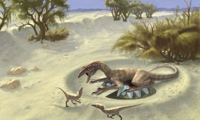 研究发现不同体型的恐龙在体温上存在较大差异